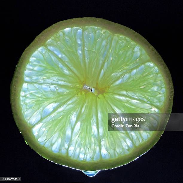 a slice of lime - cross section and backlit on black background - fruit flesh stock pictures, royalty-free photos & images
