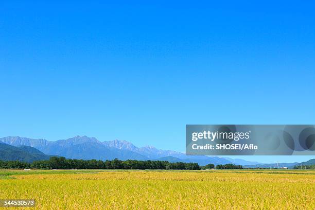 nagano prefecture, japan - september 12 stock pictures, royalty-free photos & images