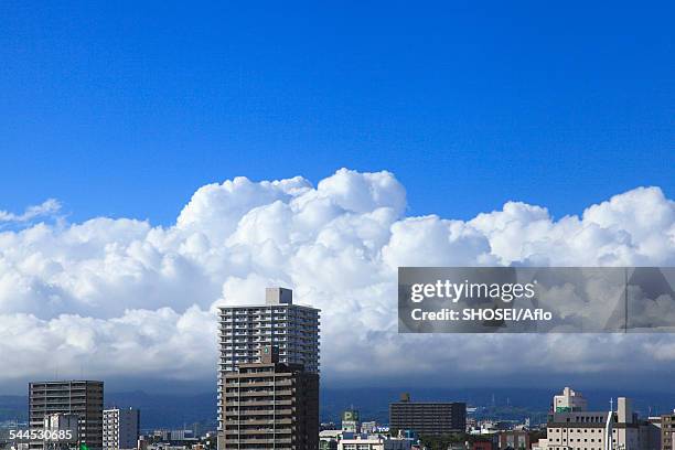 shizuoka prefecture, japan - mishima city 個照片及圖片檔