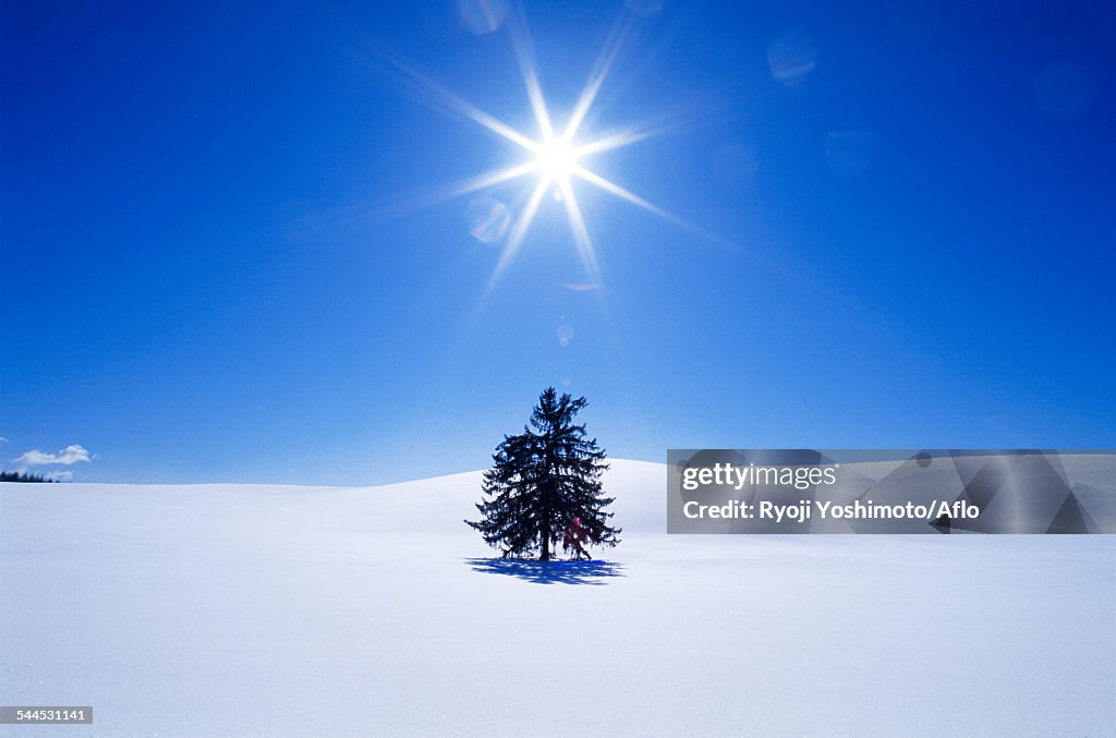 Hokkaido, Japan