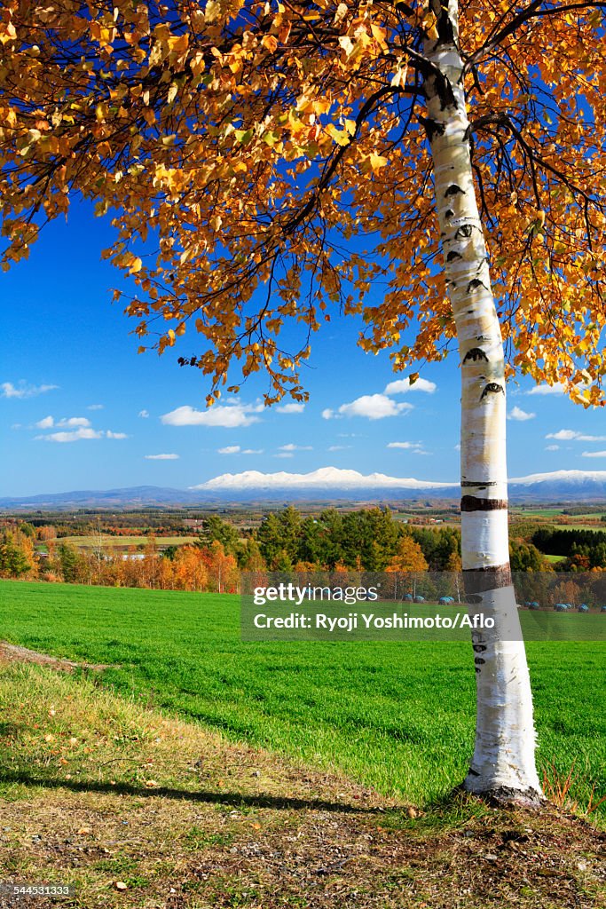 Hokkaido, Japan