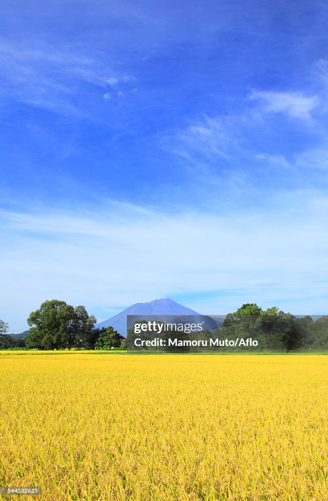 Iwate Prefecture, Japan