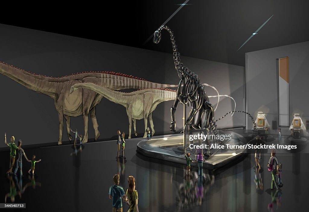 Exhibition space featuring Diplodocus longus.