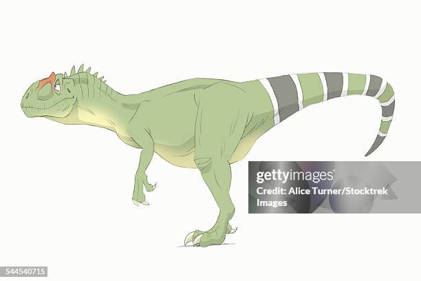 allosaurus pencil drawing with digital color. - allosaurus stock-grafiken, -clipart, -cartoons und -symbole