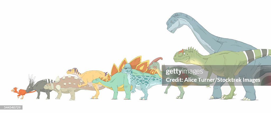 Pencil drawing illustrating various dinosaurs and their comparative sizes.
