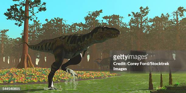a bistahieversor splashes through a swampy area. - parasaurolophus stock-grafiken, -clipart, -cartoons und -symbole