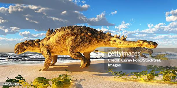 euoplocephalus dinosaurs munch on melons on an ocean beach. - 人が作り出した時代点のイラスト素材／クリップアート素材／マンガ素材／アイコン素材