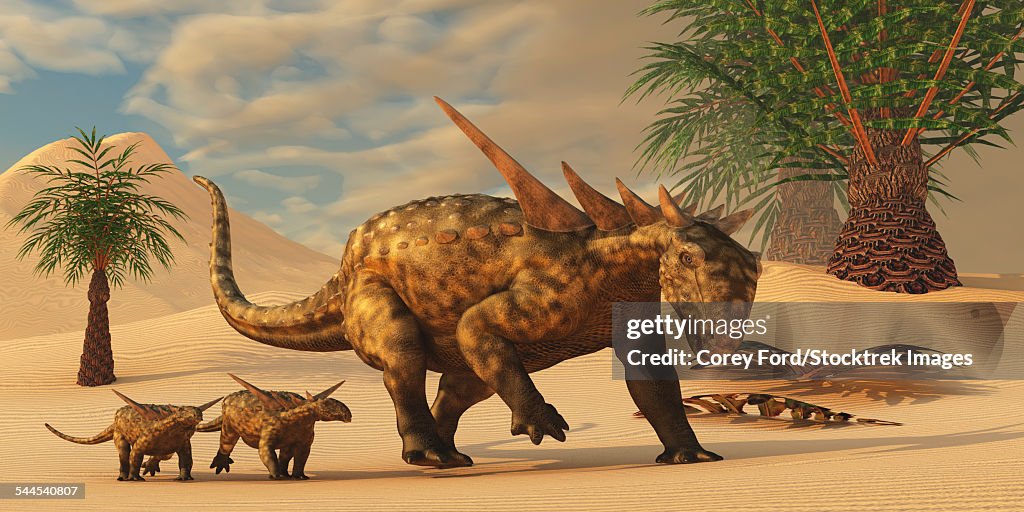 A Sauropelta mother leads her offspring in a desert area of North America.