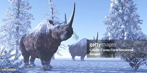 524 Ice Age Animals Photos and Premium High Res Pictures - Getty Images