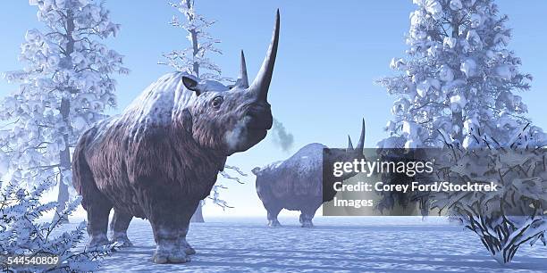 woolly rhino males during a snowy winter in the pleistocene period. - tertiary period stock illustrations