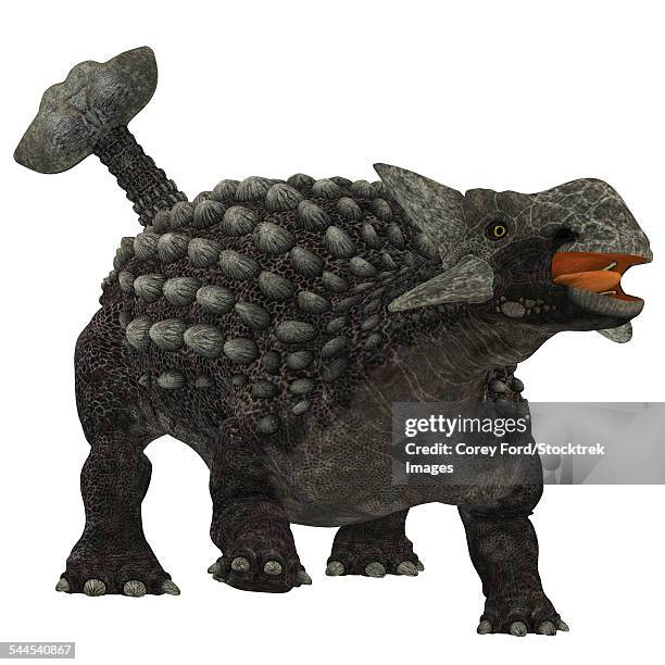 ilustrações, clipart, desenhos animados e ícones de ankylosaurus dinosaur. - scute