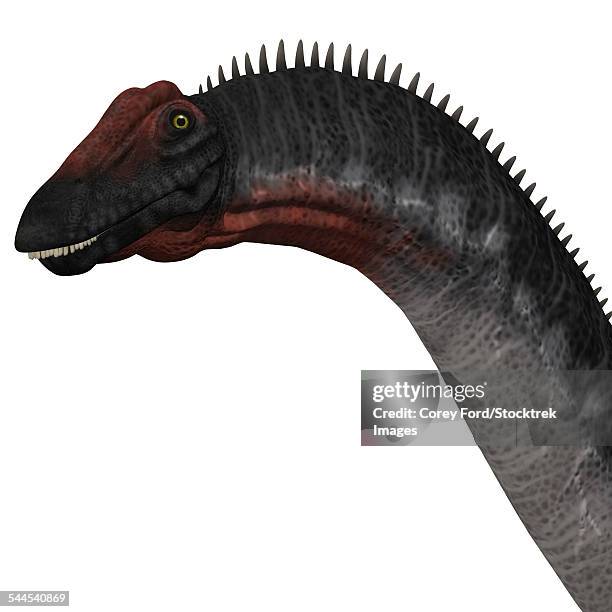 Saurus Head 103 Sauropod Head Stock Photos, High-Res Pictures, and Images - Getty ...