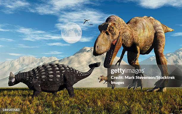 ilustraciones, imágenes clip art, dibujos animados e iconos de stock de tyrannosaurus rex dinosaurs confronting a lone ankylosaurus. - scute