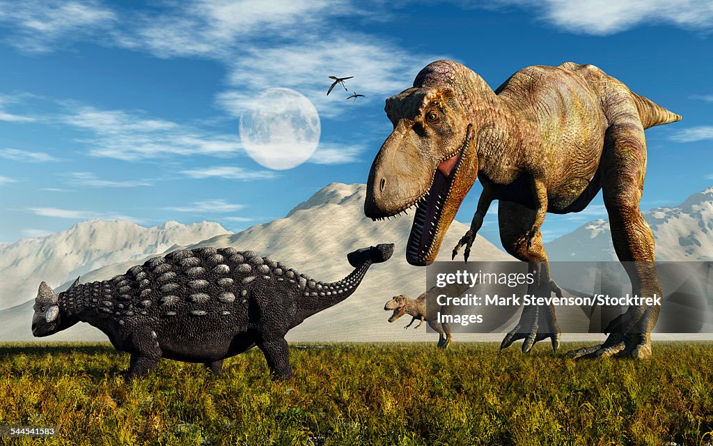 Tyrannosaurus Rex dinosaurs confronting a lone Ankylosaurus.