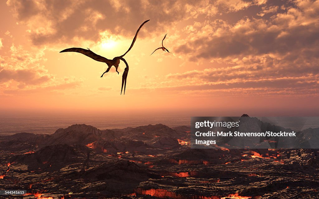 A pair of giant Quetzalcoatlus flying over a volcanic landscape during Earths Cretaceous Period.