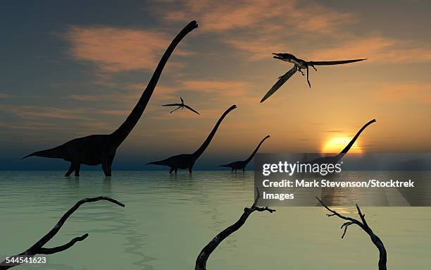 Omysaurus Omeisaurus Photos and Premium High Res Pictures - Getty Images