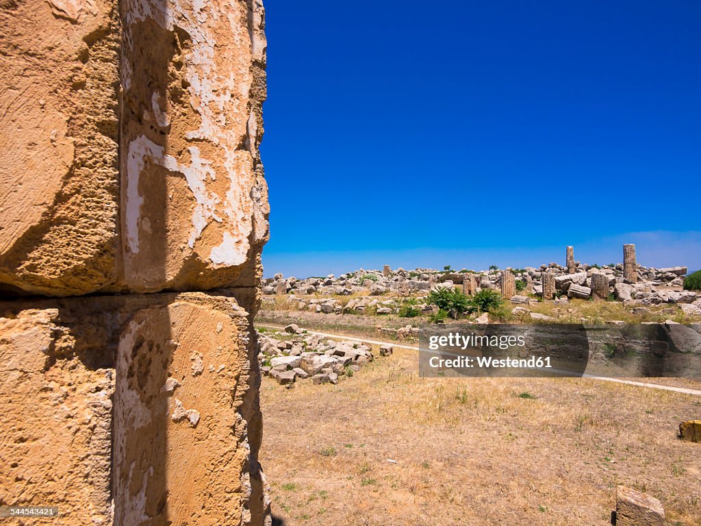 Italy, Sicily, Province of Trapani, Selinunt, view to excavation site