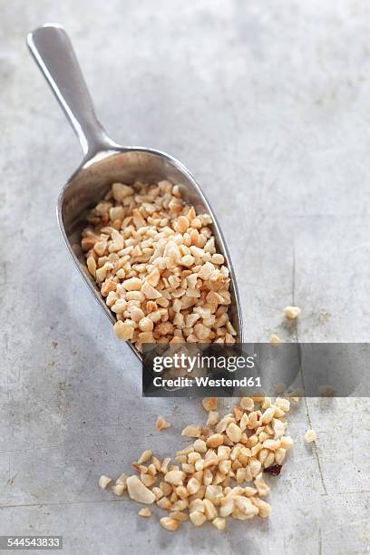 Exploded Hazelnut Chopped Hazelnuts Photos and Premium High Res Pictures - Getty Images