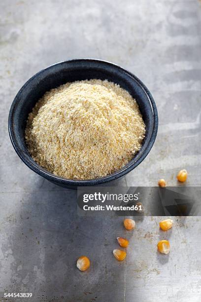 bowl of cornmeal and maize grains on metal - farinha de milho imagens e fotografias de stock