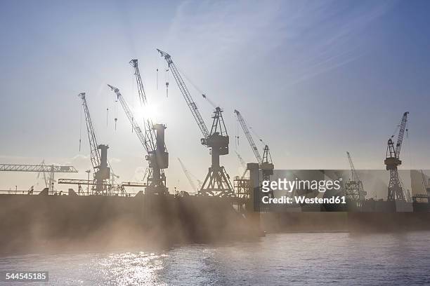 germany, hamburg, silhouette of cranes in the fog over the elbe river - hamburg stock-fotos und bilder