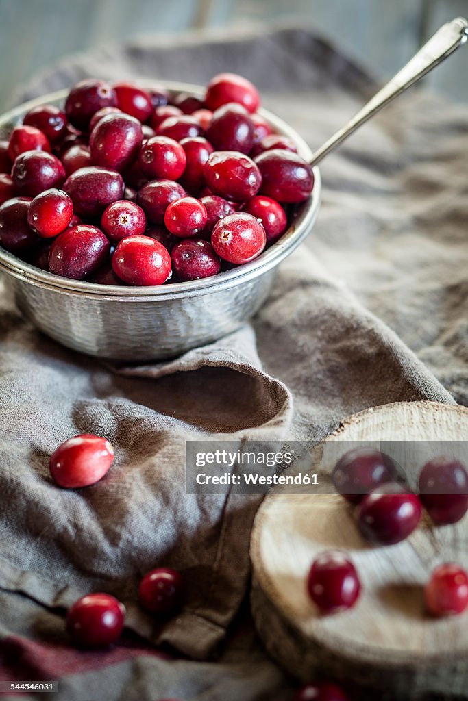 Metal bowl of cranberries, Vaccinium macrocarpon, on kitchen towel