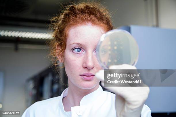 young female natural scientist working in biochemistry laboratory - laboratory stockfoto's en -beelden