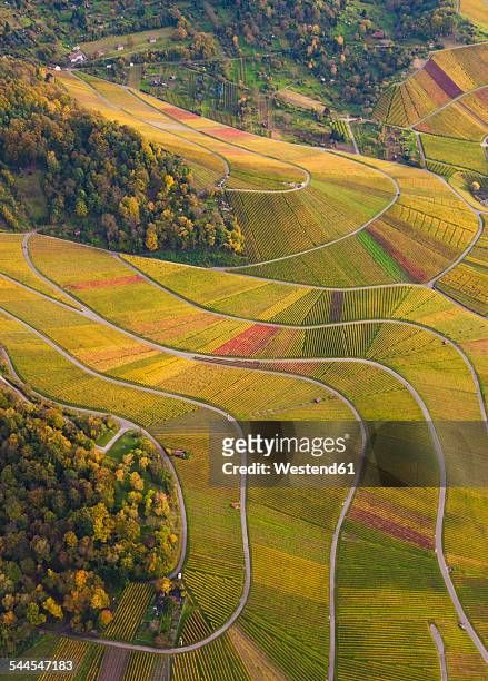 germany, baden-wuerttemberg, stuttgart, aerial view of vineyards at rotenberg - stuttgart duitsland stockfoto's en -beelden