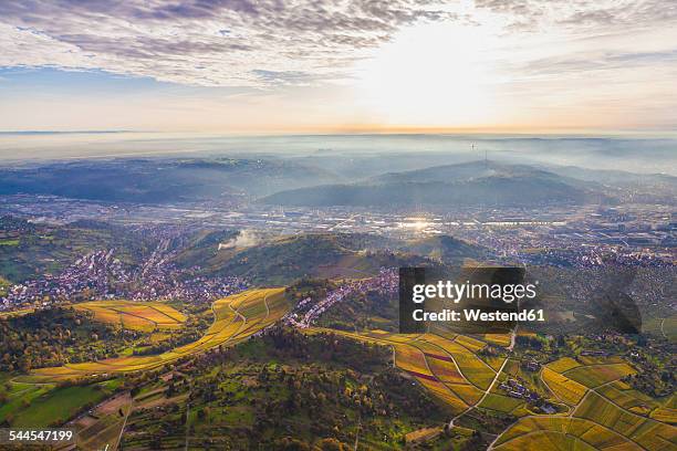 germany, baden-wuerttemberg, stuttgart, aerial view of neckar valley with vineyards - シュツットガルト ストックフォトと画像