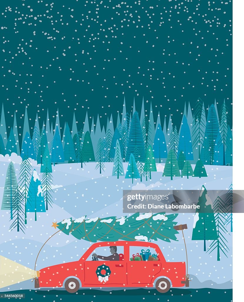 Man Driving Cartoon Car With a Christmas Tree At Night