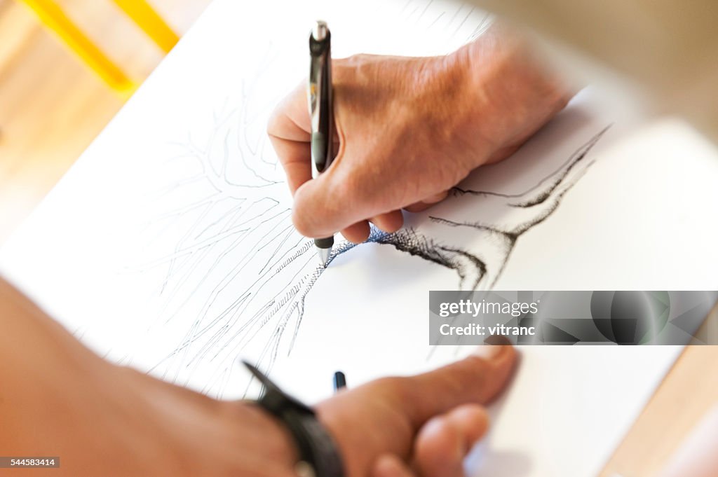 Designer Drawing