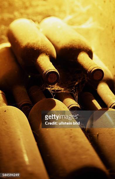 Wein, alte Weinflaschen lagern im Weinkeller- 2006