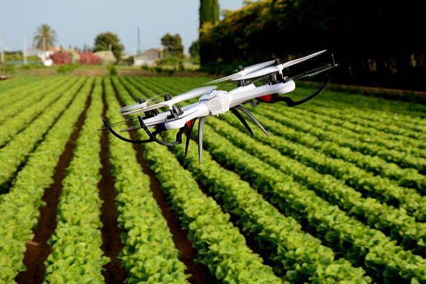 The 10 Best Drones in South Africa 7 flying my drone