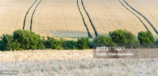 graphic land - cereales stockfoto's en -beelden