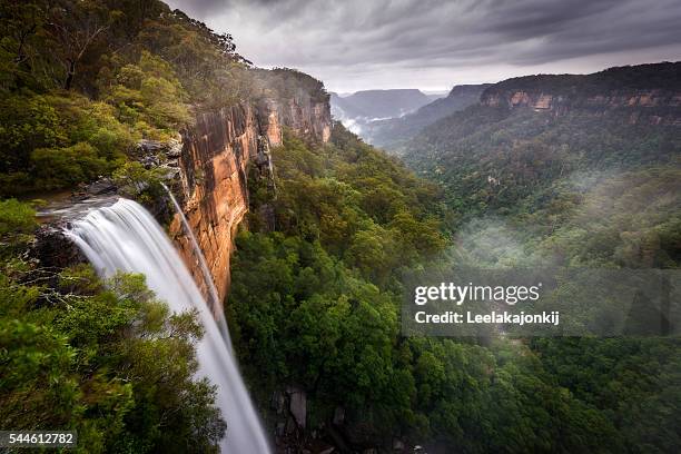 fitzroy falls - australian rainforest photos et images de collection