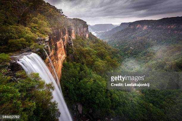 fitzroy falls - nsw landscape stockfoto's en -beelden