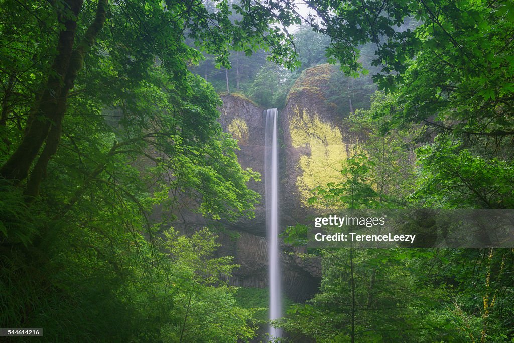 Latourell Falls, Oregon