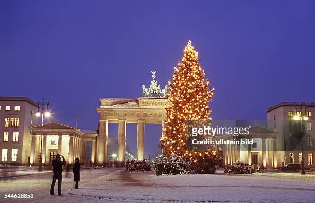 Deutschland, Berlin - Weihnachtsbaum am ariser Platz, im Hintergrund das Brandenburger Tor