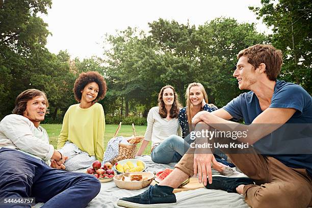 friends having picnic - picnic ストックフォトと画像