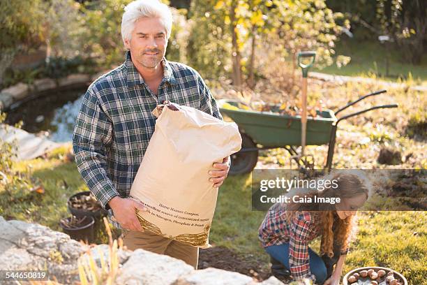 couple gardening together in autumn - schubkarre stock-fotos und bilder