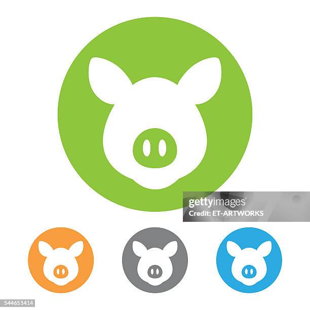 ilustrações de stock, clip art, desenhos animados e ícones de vetor ícone de porco - nariz de animal