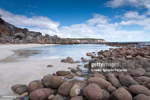 stokes bay in kangaroo island - kangaroo island stock pictures, royalty-free photos & images