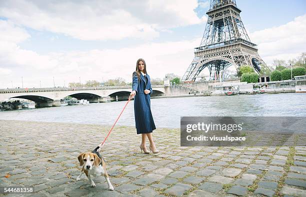 woman walking a cute beagle by the seine river - seine maritime stock pictures, royalty-free photos & images