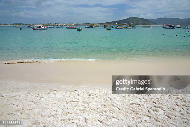 praia da ilha do campeche - campeche stock pictures, royalty-free photos & images