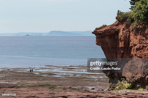 receiding tide at burntcoat head park - bay of fundy stock pictures, royalty-free photos & images