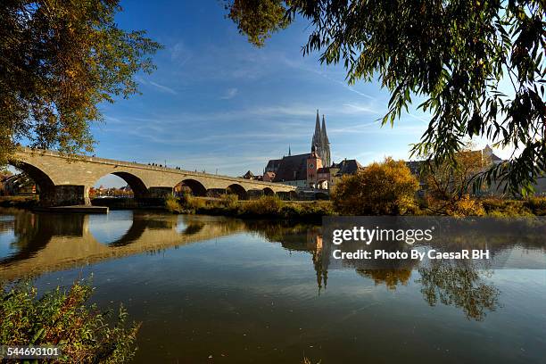 regensburg, old stone bridge - regensburg stock pictures, royalty-free photos & images