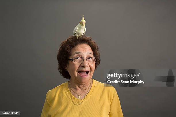 mature woman with cockatiel on her head - bird portraits stock-fotos und bilder