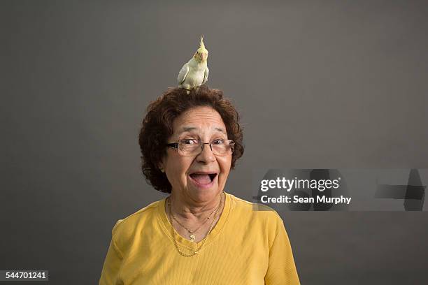 mature woman with cockatiel on her head - yellow cockatiel stock pictures, royalty-free photos & images