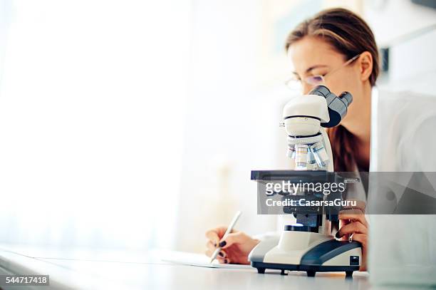 wissenschaftler bei der arbeit - mikroskop stock-fotos und bilder