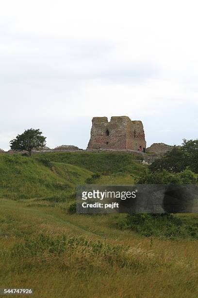 kalø slot - a ruin of a medieval fortress, denmark - pejft stockfoto's en -beelden