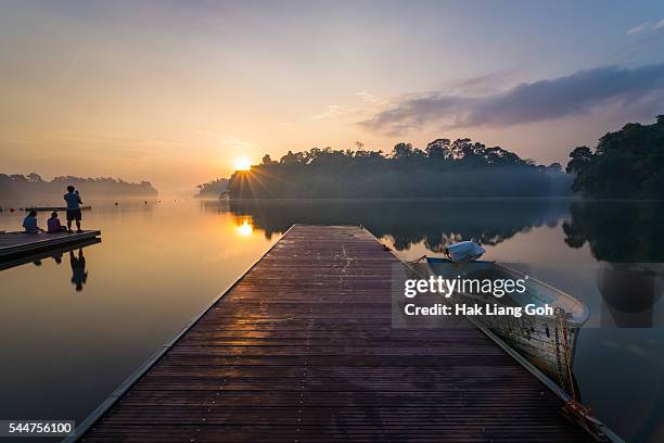 macritchie sunset - stausee stock-fotos und bilder